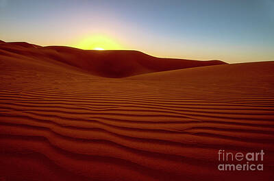  Photograph - Desert Sunset by Jennifer Magallon