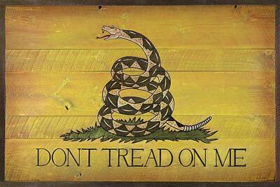 Gadsden Flag Original Artwork