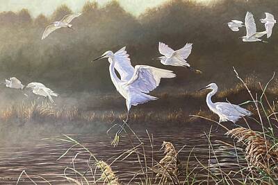  Painting - Egrets on the Everglade by Alan M Hunt
