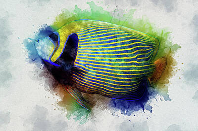  Photograph - Emperor Angelfish by Anthony Leydet