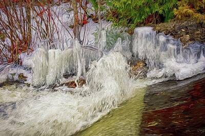  Photograph - Iced Dam by Allyson Schwartz
