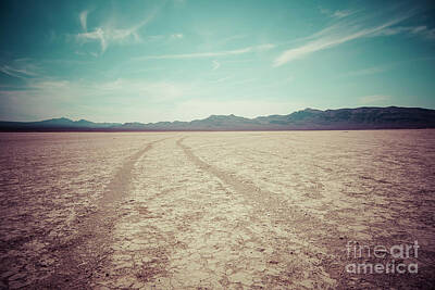  Photograph - Jean Dry Lake Bed -  Las Vegas by Bryan Mullennix