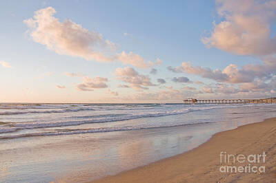 Designs Similar to La Jolla Shores Beach at Sunset