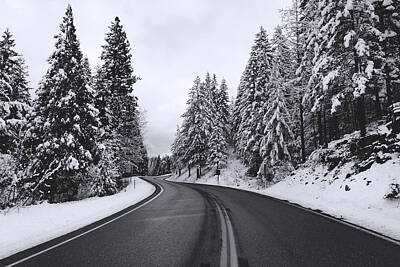 Snowy Highway Art