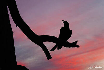  Photograph - Raven Silhouette by Jeff Goulden