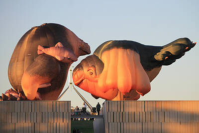  Photograph - Skywhales at sunrise by Anthony Croke