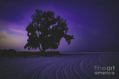  Photograph - Solitude at Siesta Beach by Robert Stanhope