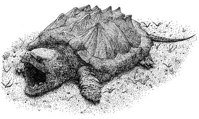 Designs Similar to Alligator Snapping Turtle