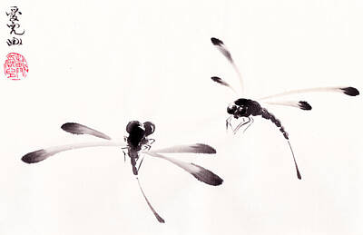 Designs Similar to Dance of the Dragonflies