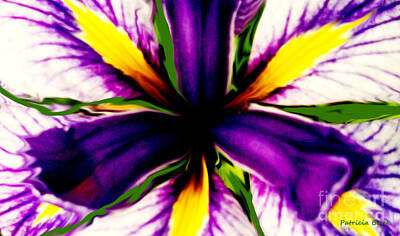 Patricia Bunk Iris Art Prints