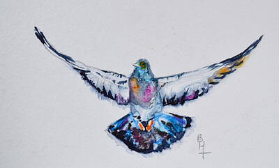 Feral Pigeon Original Artwork