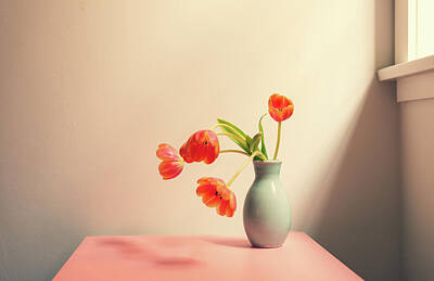  Photograph - Wilting tulips by the window by Natalie Board