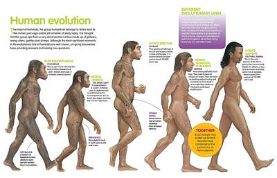 Homo Erectus Digital Art