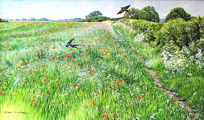  Painting - Swallows over the meadow by Alan M Hunt