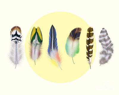 Feathers Digital Art