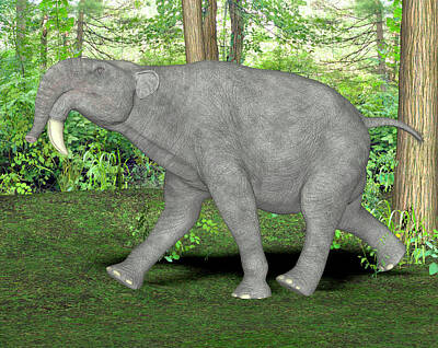 Model of Deinotherium, a pre-historic proboscid available as Framed Prints,  Photos, Wall Art and Photo Gifts