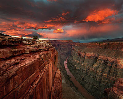 Red Rock Photographs