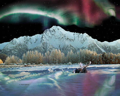 Alaska For Sale Digital Art