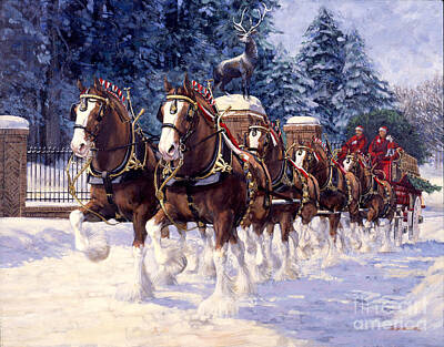 Clydesdale Art Prints