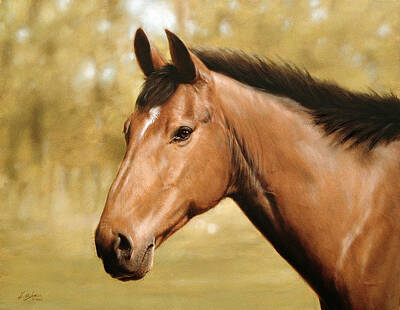 Designs Similar to Horse portrait II