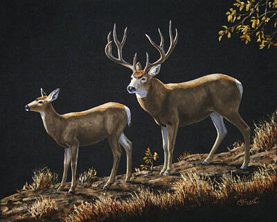 Designs Similar to Mule Deer Ridge