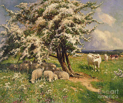 Designs Similar to Sheep and cattle in a landscape