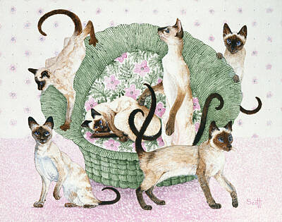 Siamese Cat Art Prints