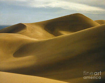 Designs Similar to Colorado: Sand Dunes #1