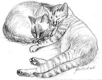  Drawing - 2 Cats Sleeping by Deborah Willard