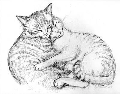  Drawing - Cuddly Cats by Deborah Willard