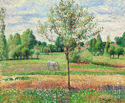Designs Similar to Meadow with Grey Horse, Eragny