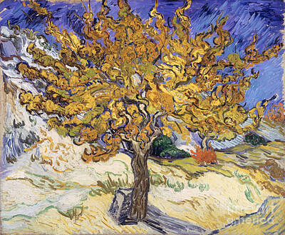 Vincent Van Gogh Work Art Prints