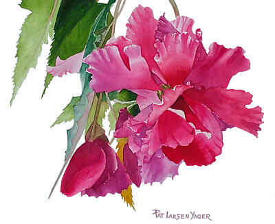 Designs Similar to Pink Begonia by Pat Yager