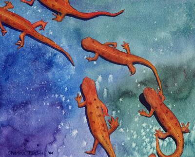 Salamanders Art Prints
