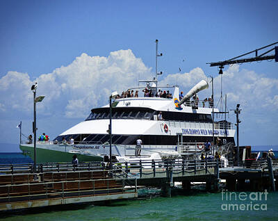 Designs Similar to The Tangalooma Ferry 