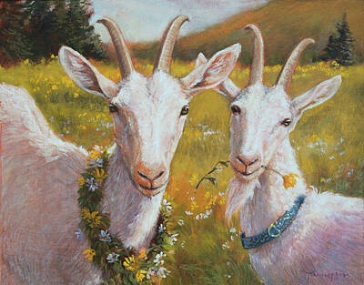 Saanen Goat Art Prints