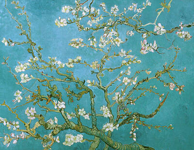 Tree Blossoms Paintings