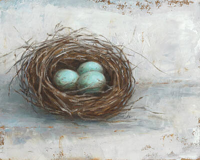 Bird Nest Art Prints