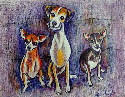  Drawing - 3 Dogs by Deborah Willard