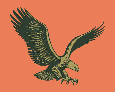 Eagles In Flight Drawings
