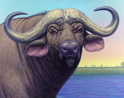 Cape Buffalo Original Artwork