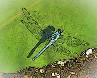 Blue Dasher Dragonfly Digital Art