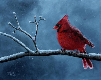  Painting - Winter's Cardinal by Jan Priddy