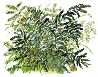  Painting - Woodland Ferns with Butterfly and Violets by Laurie Rohner