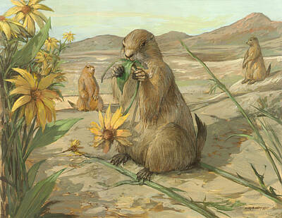 Black Tailed Prairie Dog Original Artwork