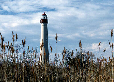 Designs Similar to Cape May Light by Skip Willits