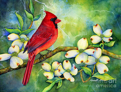 Cardinal Watercolor Art