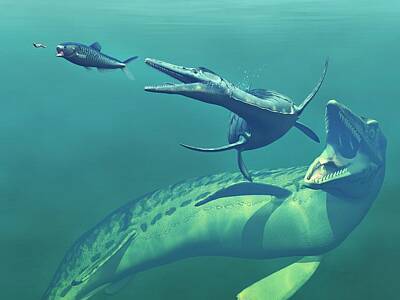 Cretaceous Seaway Art Prints