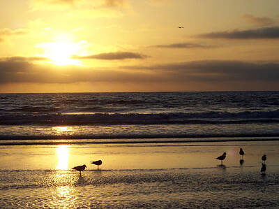  Photograph - Del Mar Sunset by Scott Norton