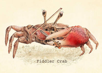 Designs Similar to Fiddler Crab by Eric Fan